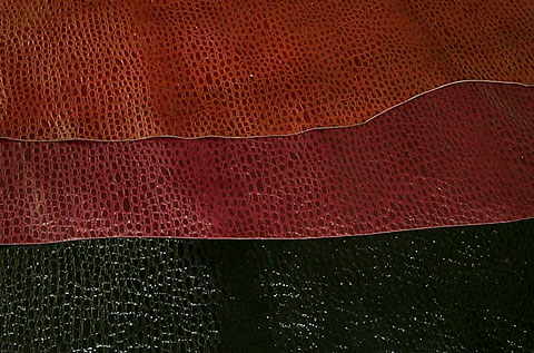 A Brown, Burgundy and Black Gatorprint on Cowhide