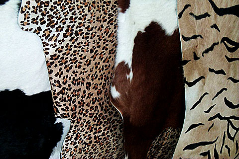 Leopard, Cow and Zebra Skins